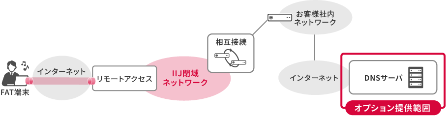 「DNSオプション構成イメージ」のイメージ図
