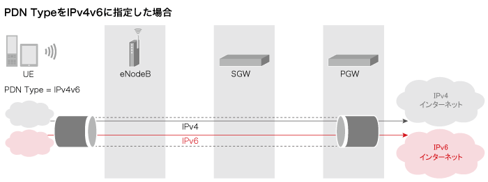 PDN TypeをIPv4v6に指定した場合 PDN TypeをIPv4v6に指定した場合