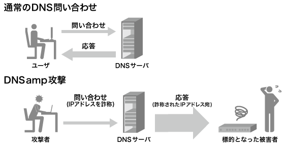 DNS amp