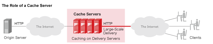 The Expected Role of Cache Servers The Expected Role of Cache Servers