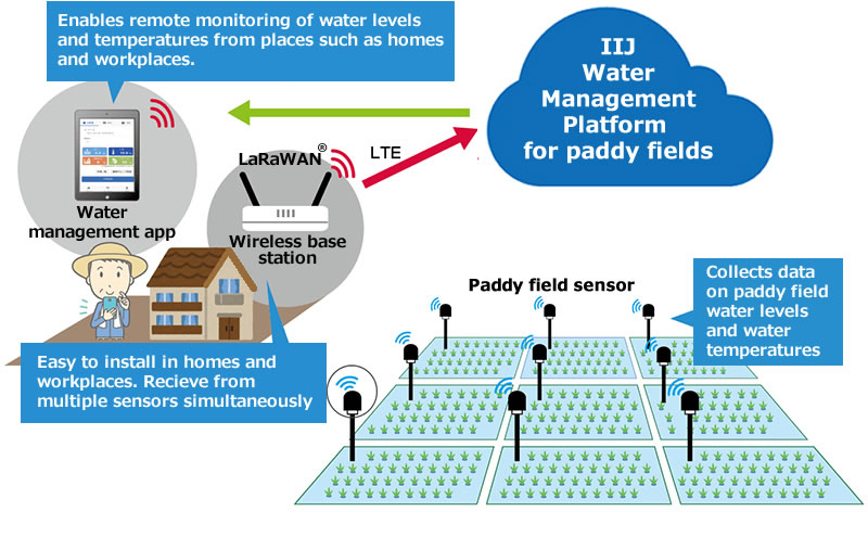 IIJ provides the following agricultural IoT services