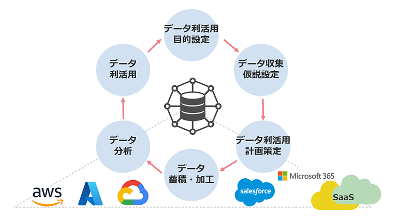 ライフサイクル