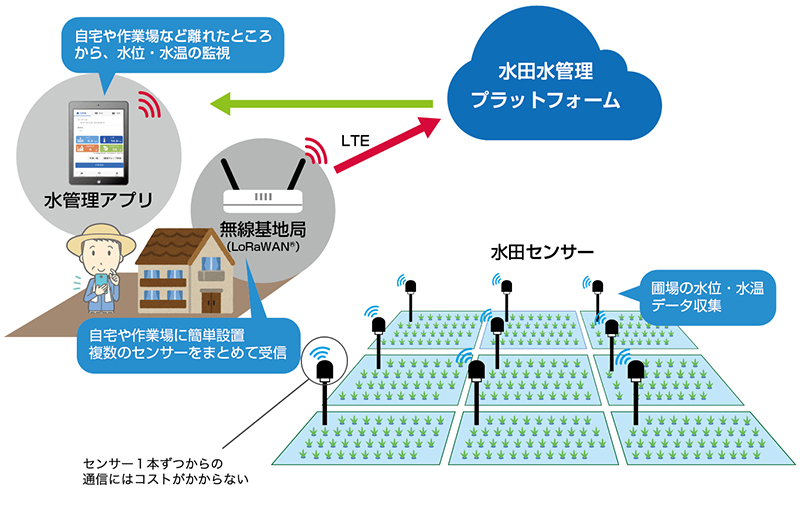 IIJが提供する農業IoT